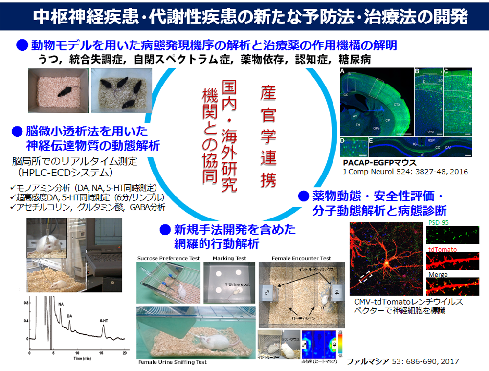 中枢神経疾患・代謝性疾患の新たな予防法・治療法の開発