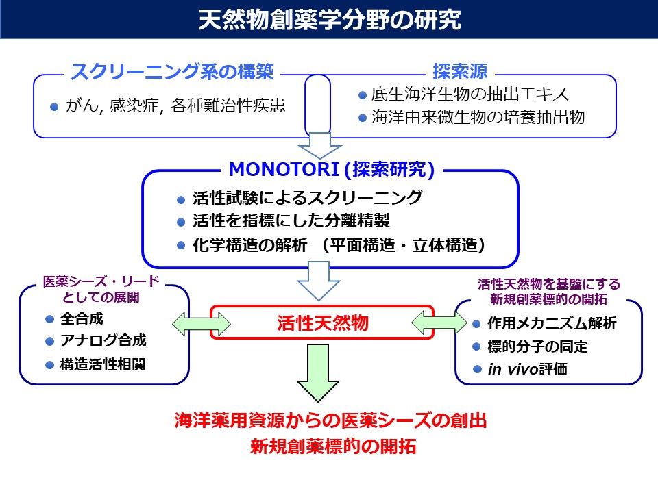 天然物創薬学分野の研究