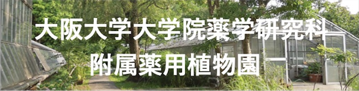 大阪大学大学院薬学研究科 附属薬用植物園